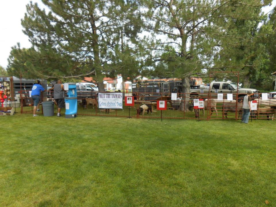 Eaton Animal Den Veterinarian in Eaton, CO US Specials